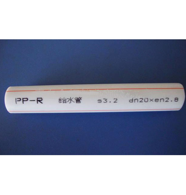 PP-R ˮ DN20mm