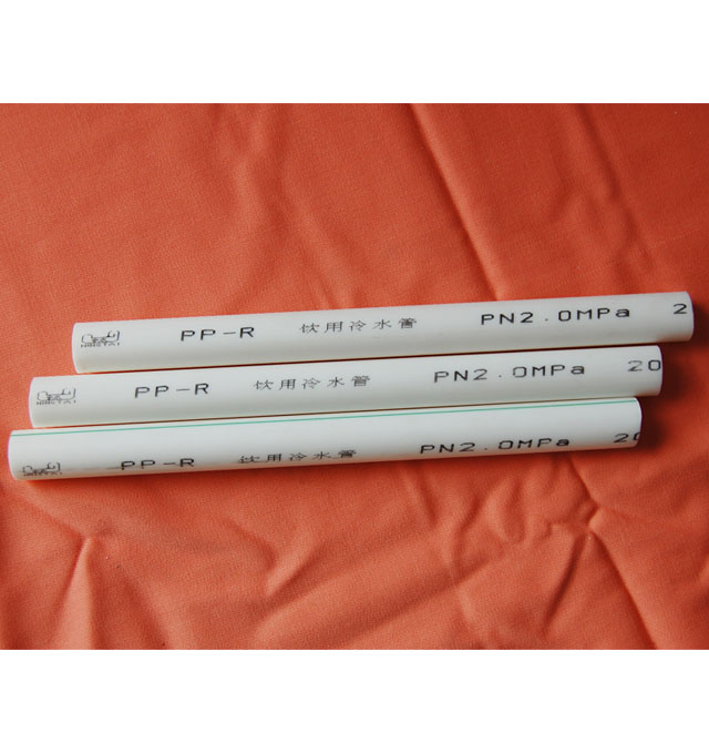 PP-R ˮ DN20mm