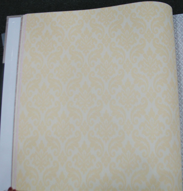 BEYONDǽֽ 86033 53cm10 PVC ŷ ׻