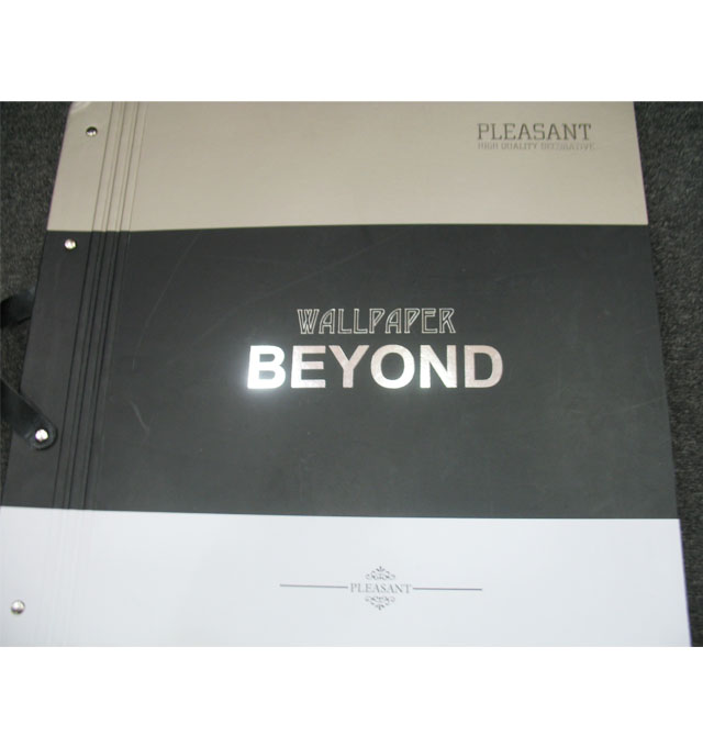 BEYONDǽֽ 86033 53cm10 PVC ŷ ׻