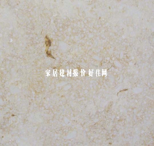 ʯ ϴ̻ԻFY-14 20mm