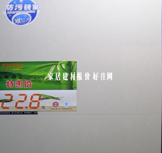 新中源地砖 抛光砖江南烟雨CZH6005 600mm×600mm