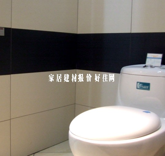 帝舵地砖 仿古砖T36891 600mm×300mm