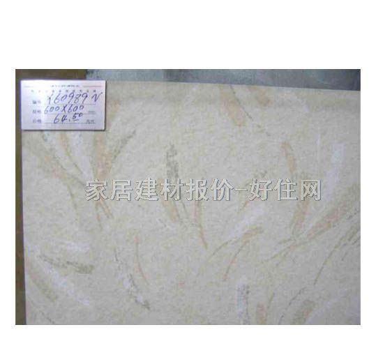 һש ͨשy60989N 600mm600mm