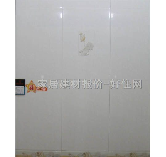 ճƬ 󼸺CY61138PGY2 60mm300mm