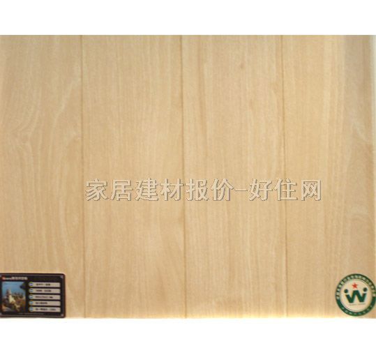 άǿϵذ SW088׻Ӱ 81212312.3mm