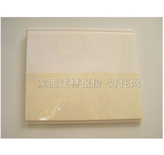 PVCܿ컨 PVCܿHW-008 6000mm200mm