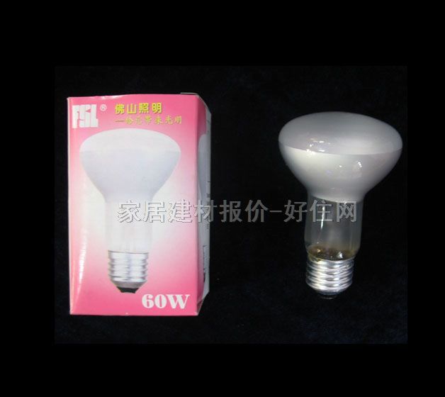 节能灯光源 球形射光用R63白 60W