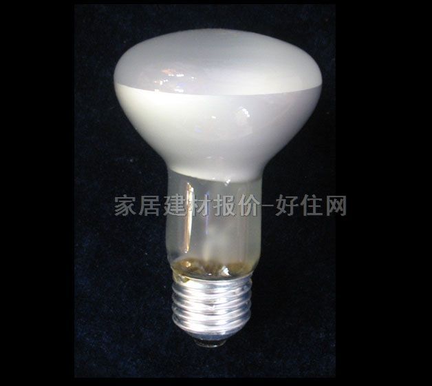 佛山节能灯光源 球形射光用R63白 60W