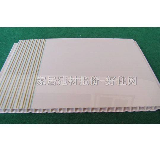 PVCܿ컨 PVCܿZB-009 6000mm200mm