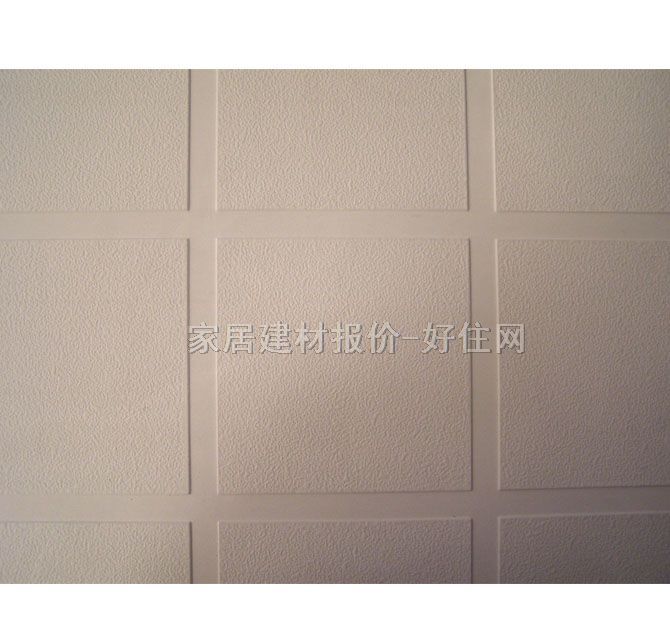 AǺӹư컨 509 595mm595mm