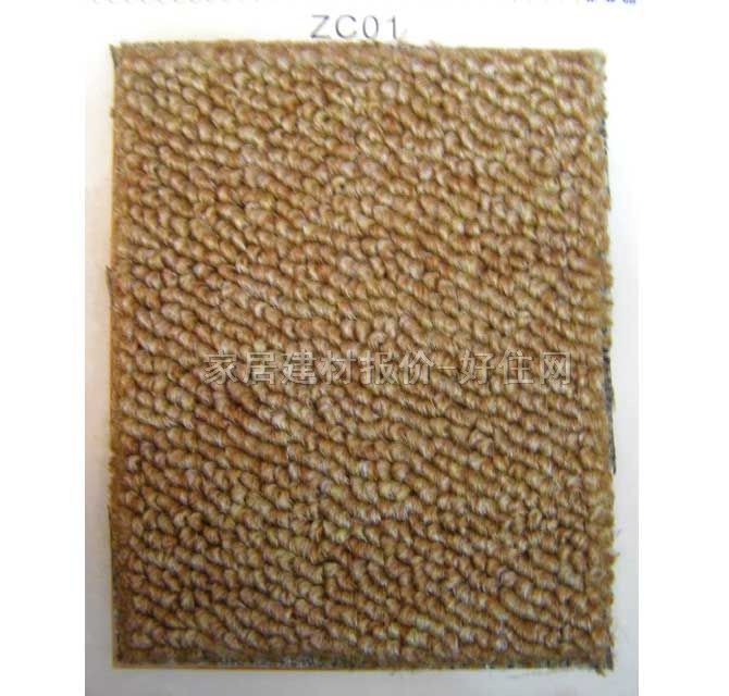 칫̵̺ ZC01 