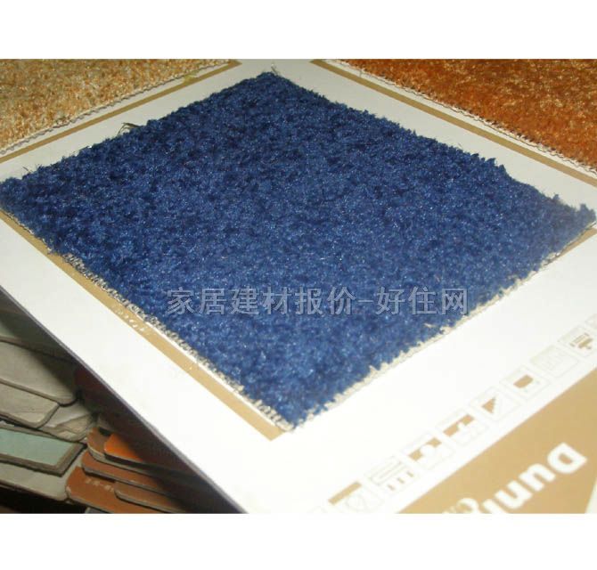 天雅办公用满铺地毯 W016 4×20M