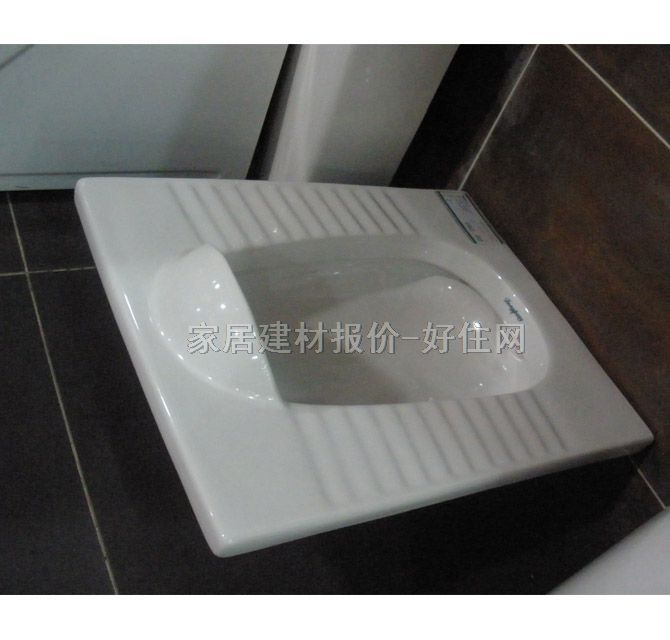 东鹏蹲厕   W09490500Q 未知