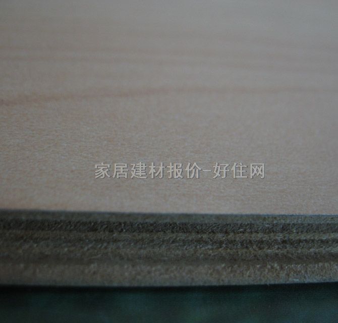ǿϵذ ľT1817 12161998mm