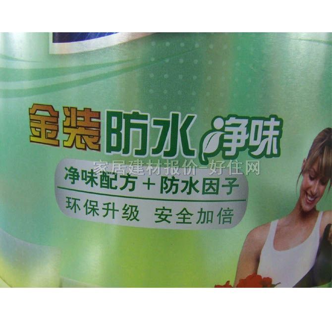 多乐士内墙乳胶漆 金装防水净味优质墙面漆5合1 5L 白色