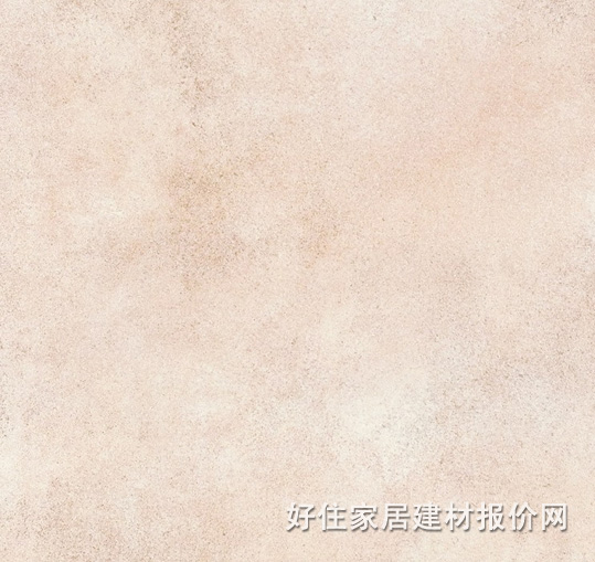 地砖 抛光砖R751 600mm×600mm