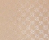𲽵ש ¹שY933506P 300mm300mm 