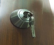 ������&nbsp;������������&nbsp;D101SSͼƬ