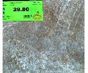 ��ש&nbsp;600mm��600mm&nbsp;�¹�ש1HT6088ͼƬ