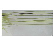 ǽש��Ƭ&nbsp;330��600mm&nbsp;3A63187E1-W3ͼƬ