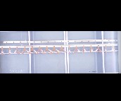 ̫̫ҡ¼  GW-8866B 2ˡ2.4m 