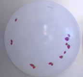 ŷ Ʋݮ Բ 