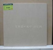 ��ש&nbsp;600mm��600mm&nbsp;�׹�שS26012ͼƬ