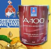 ΰSherwin-Williams ǽ齺 3.78L A-100 A6W151  ɫ   