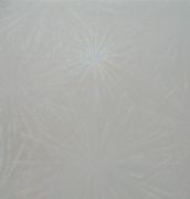  ɫϵ׻̻F22412 2440mm1220mm1mm 