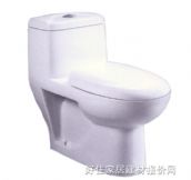 达尔舒连体马桶坐厕 B043 715mm×365mm×高660mm 
